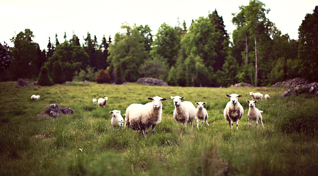 Weekly Roundup 201009