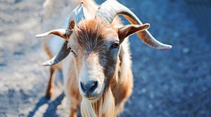 Weekly Roundup 201123 (Weekly Roundup, 23rd November 2020)