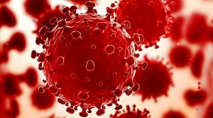 December 2020 (December 2020 &ndash; Trades, Tips and Funds)