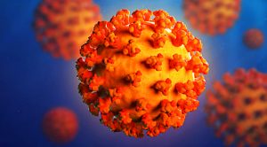 The Year of Coronavirus (The Year of Coronavirus)