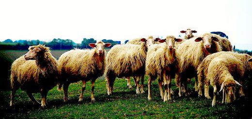 Weekly Roundup 201207