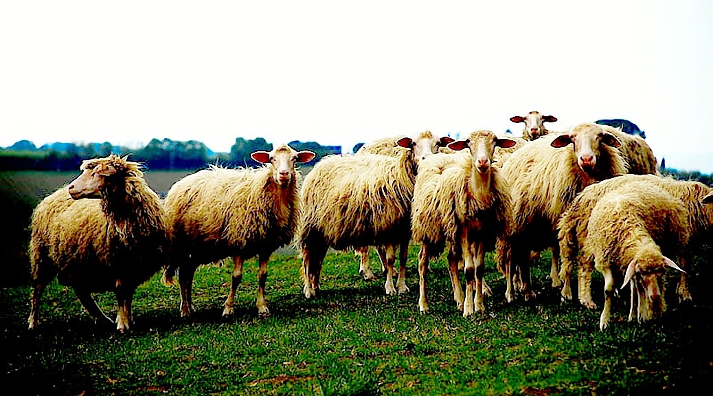 Weekly Roundup 201207