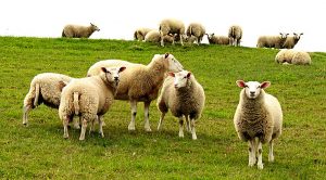 Weekly Roundup 201214 (Weekly Roundup, 14th December 2020)