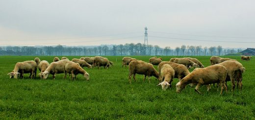 Weekly Roundup 201228