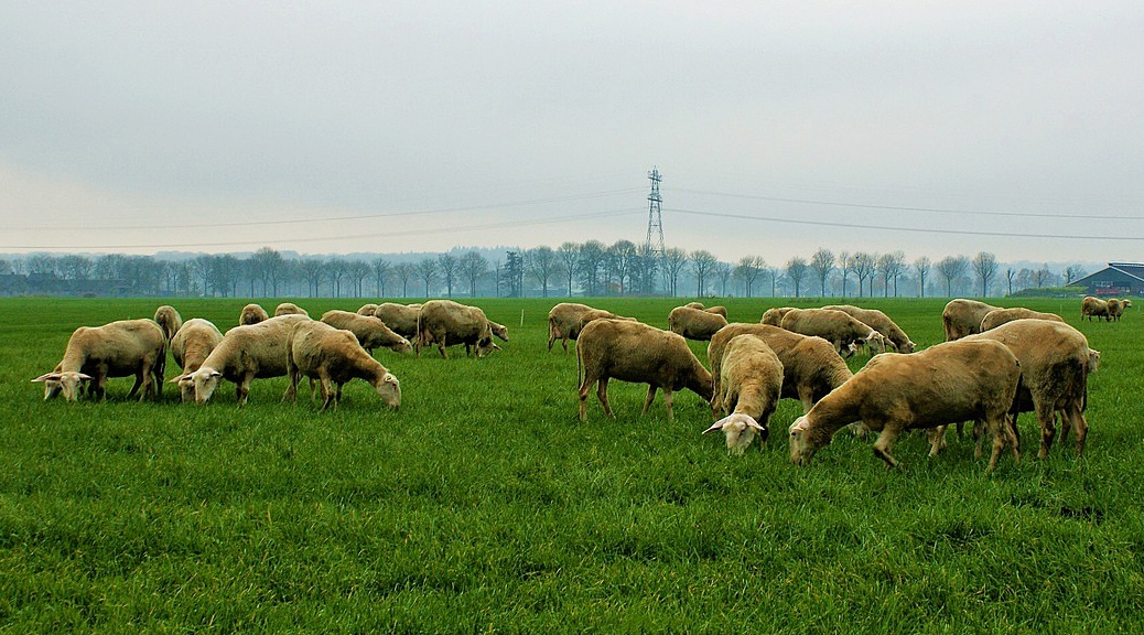 Weekly Roundup 201228