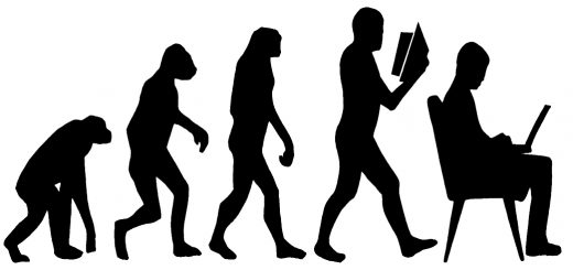 VCT Portfolio Evolution