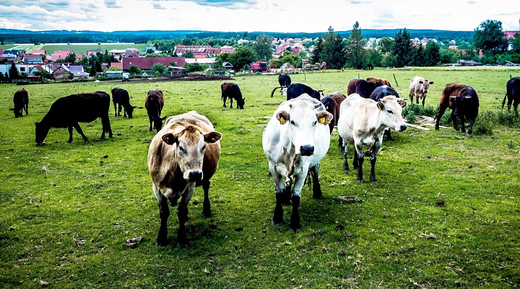 Weekly Roundup 210222