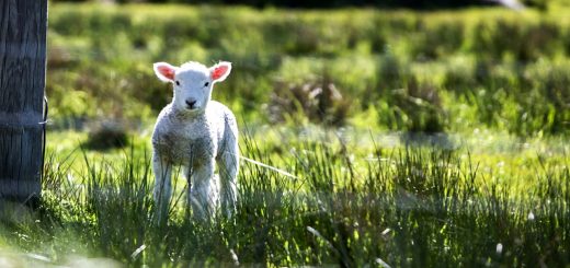 Weekly Roundup 210322