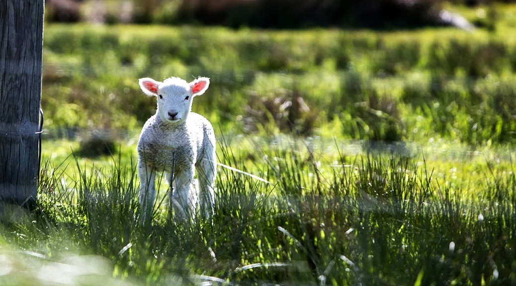 Weekly Roundup 210322