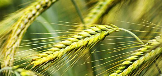 Stock Screeners April 2021