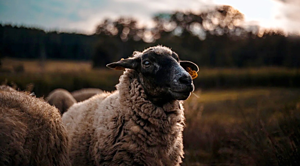 Weekly Roundup 210426