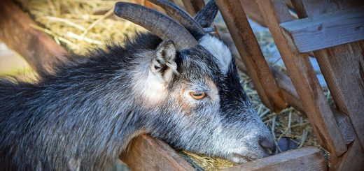 Weekly Roundup 210503