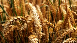 Stock Screeners May 2021 (Stock Screeners May 2021)