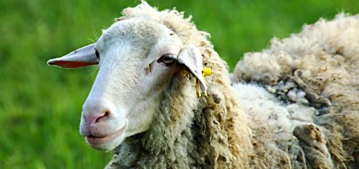 Weekly Roundup 210510