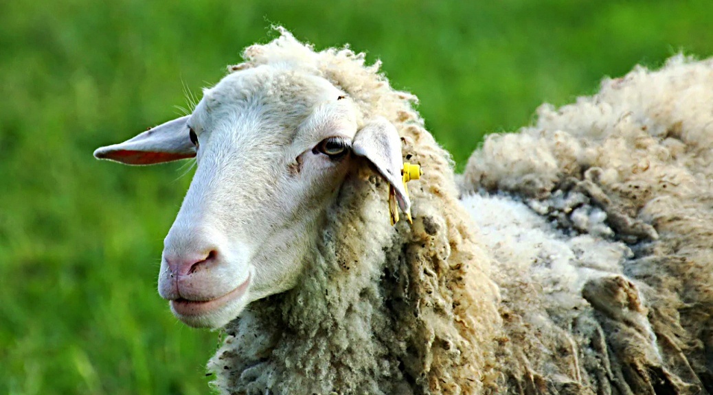 Weekly Roundup 210510