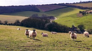 Weekly Roundup 210517 (Weekly Roundup, 17th May 2021)