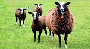 Weekly Roundup 210524 (Weekly Roundup, 24th May 2021)