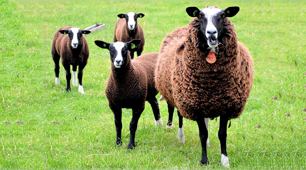 Weekly Roundup 210524