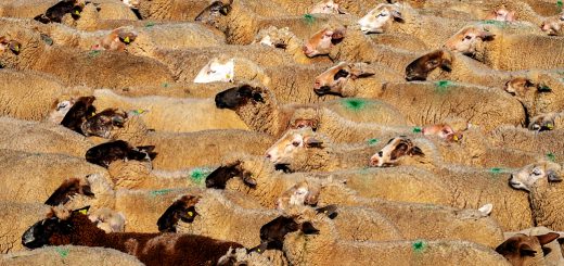 Weekly Roundup 210531