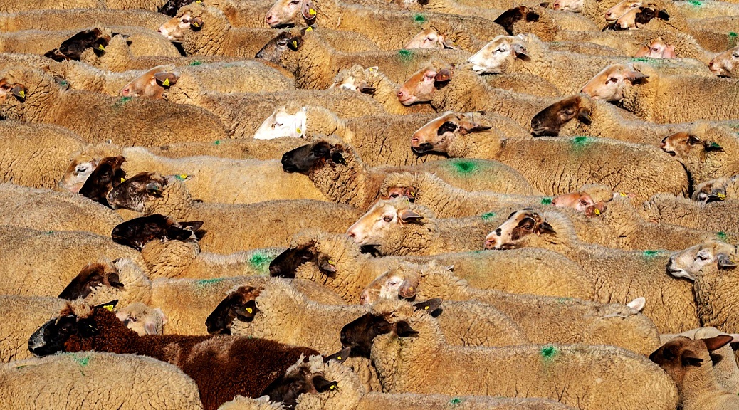 Weekly Roundup 210531