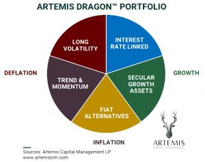 Dragon portfolio