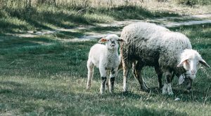 Weekly Roundup 210607 (Weekly Roundup, 7th June 2021)