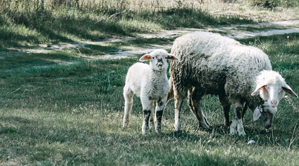 Weekly Roundup 210607