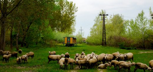 Weekly Roundup 210621