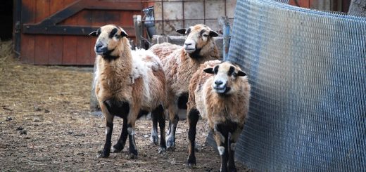 Weekly Roundup 210628