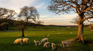 Weekly Roundup 210705 (Weekly Roundup, 5th July 2021)