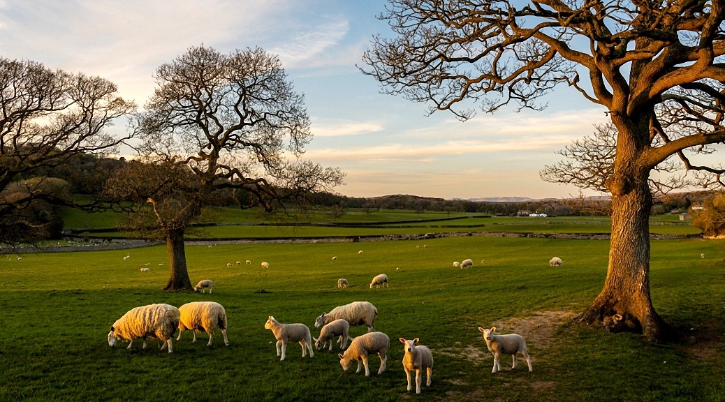 Weekly Roundup 210705