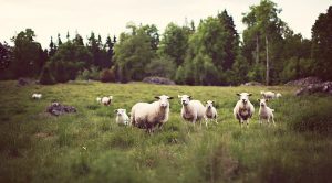 Weekly Roundup 210714 (Weekly Roundup, 14th June 2021)