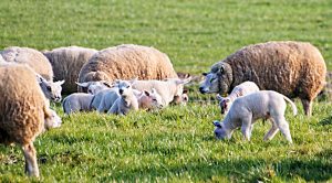 Weekly Roundup 210719 (Weekly Roundup, 19th July 2021)