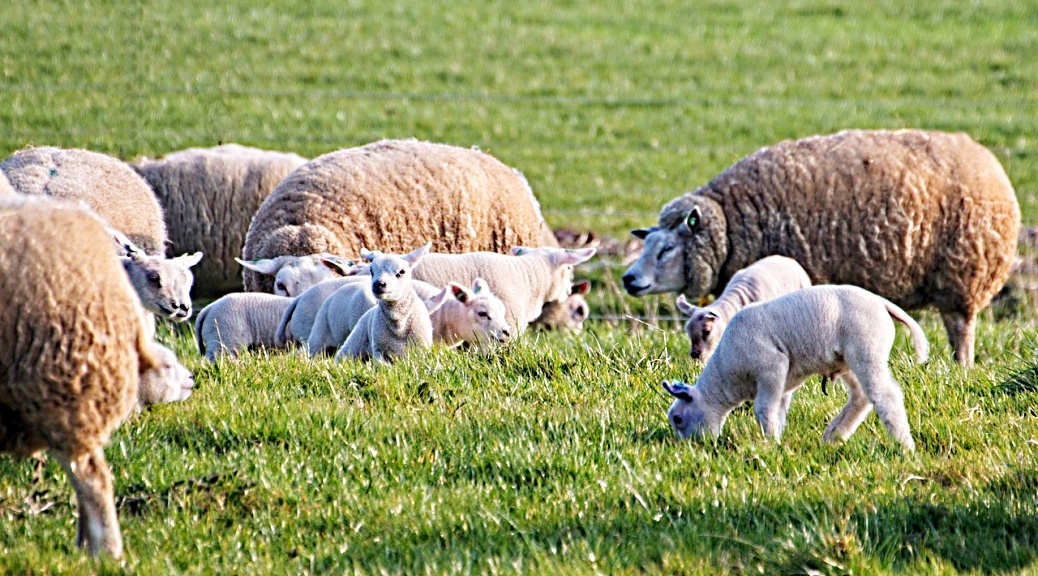 Weekly Roundup 210719