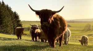 Weekly Roundup 210726 (Weekly Roundup, 26th July 2021)