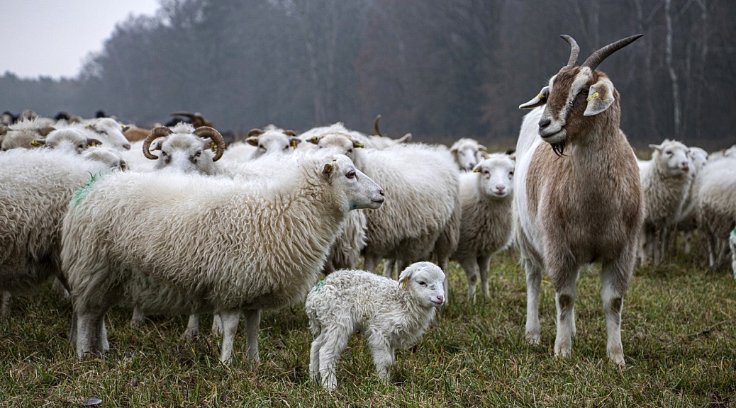 Weekly Roundup 210802