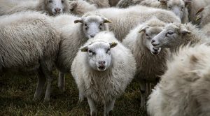 Weekly Roundup 210809 (Weekly Roundup, 9th August 2021)