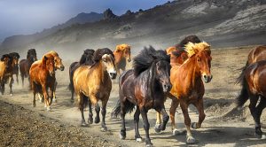 Unconstrained Portfolio 3 (Unconstrained Portfolio 3 &ndash; August 2021)