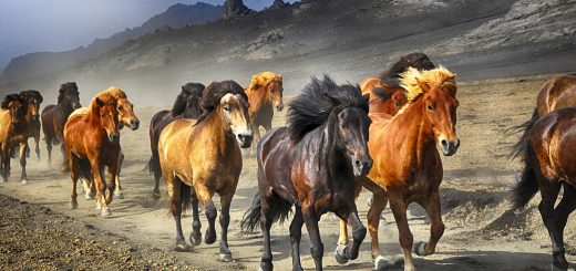 Unconstrained Portfolio 3