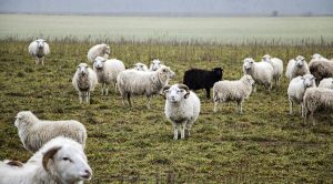 Weekly Roundup 210816 (Weekly Roundup, 16th August 2021)