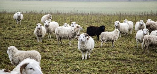 Weekly Roundup 210816