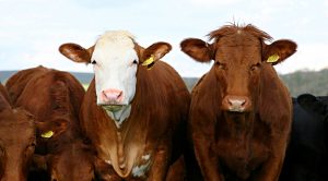 Weekly Roundup 210823 (Weekly Roundup, 23rd August 2021)