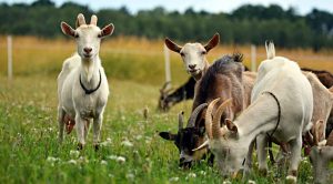 Weekly Roundup 210907 (Weekly Roundup, 6th September 2021)