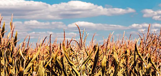 Stock Screeners September 2021