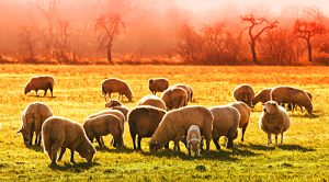 Weekly Roundup 210913 (Weekly Roundup, 13th September 2021)