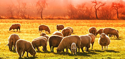 Weekly Roundup 210913