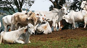 Weekly Roundup 210920 (Weekly Roundup, 20th September 2021)