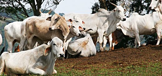 Weekly Roundup 210920