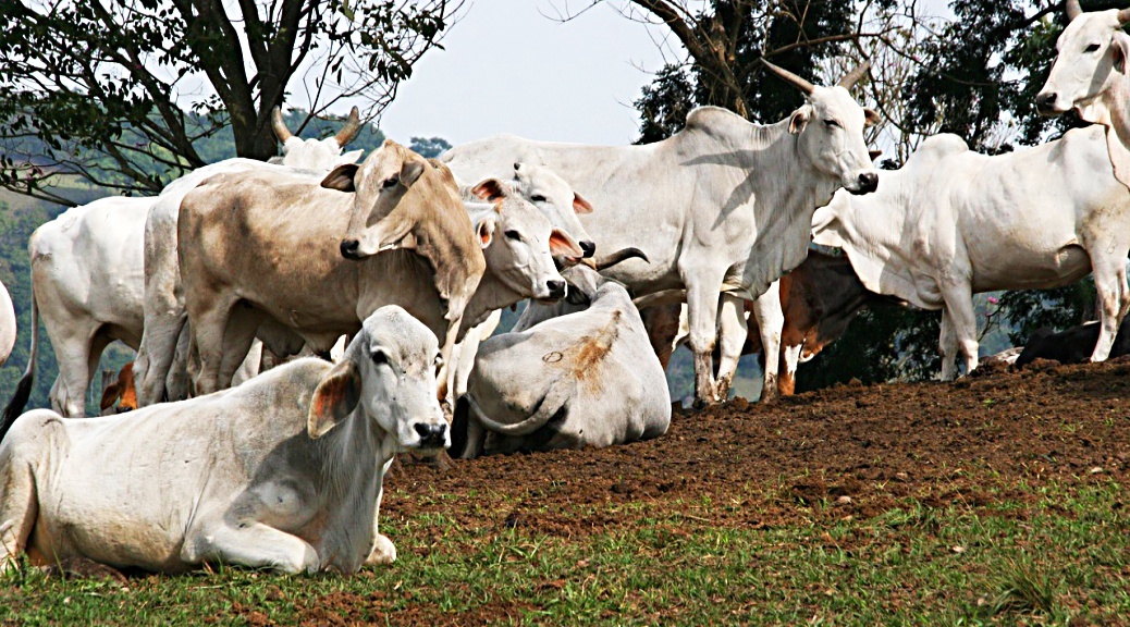 Weekly Roundup 210920