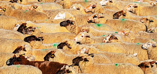 Weekly Roundup 210927